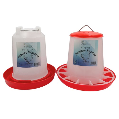 Piccola famiglia membri pollo - famiglia,