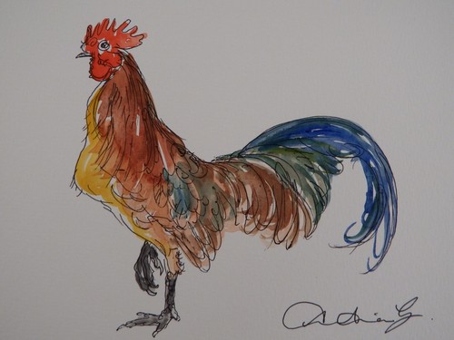 Quadro acquerello gallo gallo