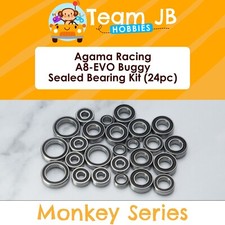 Agama Racing A8-EVO Buggy -