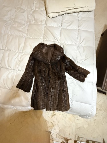 Pelliccia castorino - pelliccia,