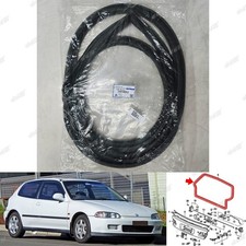 Striscia gomma porta cofano