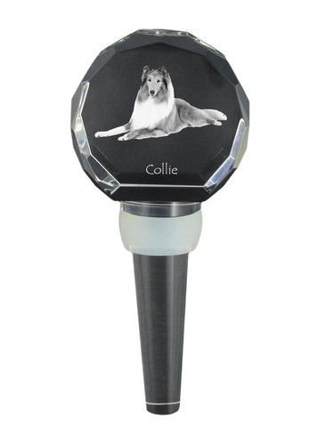 Collie pelo lungo - collie, lungo,