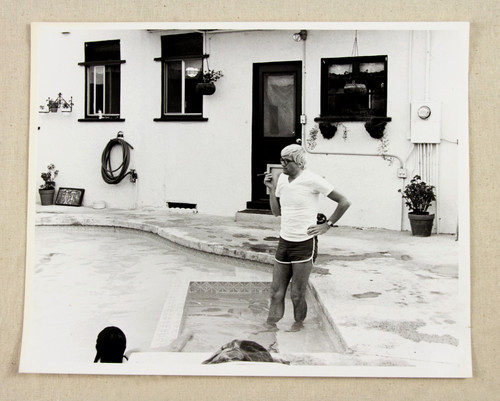 David hockney foto 1973 - david,