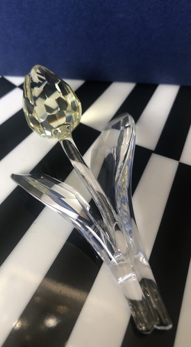Swarovski scs renewal gift - scs,
