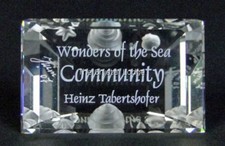 TARGA CRISTALLO SWAROVSKI PER