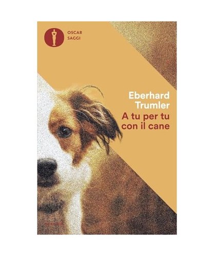 Per con cane oscar - tu, [oscar