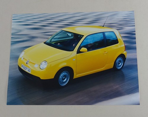 Foto stampa lupo tdi del - stampa,