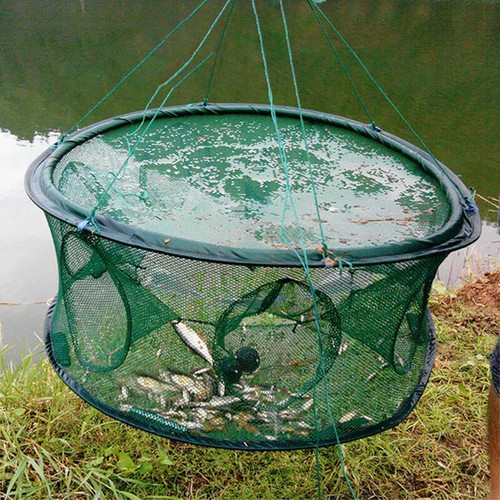 Trappola per esche - da, pesca