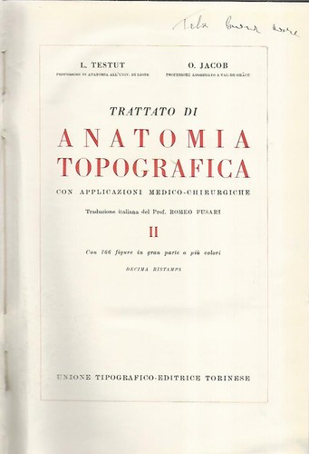 Trattato anatomia - trattato,