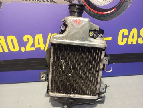 Radiatore honda 125 150 - sh,