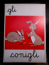 CARTELLO / ALFABETIERE PER SCUOLA ELEMENTARE - VINTAGE - GLI COME CONIGLI 1960ca
