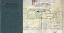 FIAT 124 BERLINA LIBRETTO CIRCOLAZIONE AUITOVETTURA  1966 MILANO