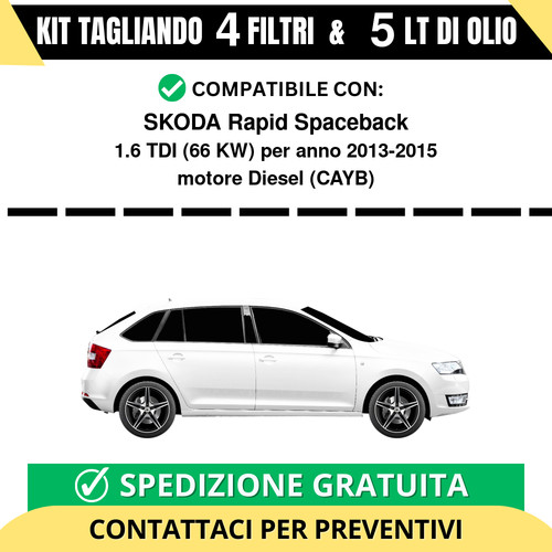 Tagliando per skoda rapid - tagliando,
