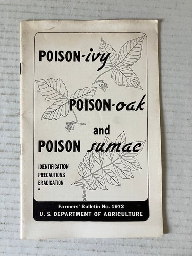 Poison ivy - poison-ivy,, poison-oak,