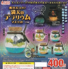 Terrario stellato con pietre