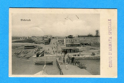 Tobruk guller - (cirenaica),