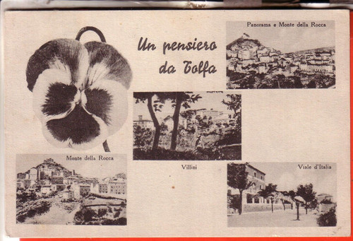 Cartolina tolfa viaggiata - cartolina, fp
