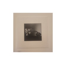 Carta montata Robert