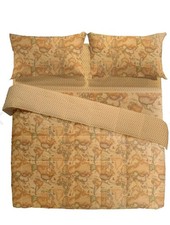 Alviero Martini 1 Classe