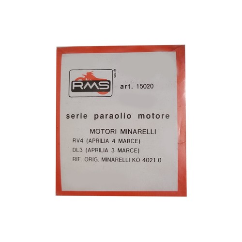 15020 serie paraoli motore - 15020,