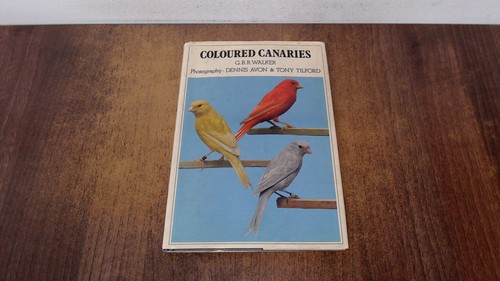 Coloured canaries b r - coloured, canaries,