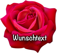 Blume Rote Rose eßbar