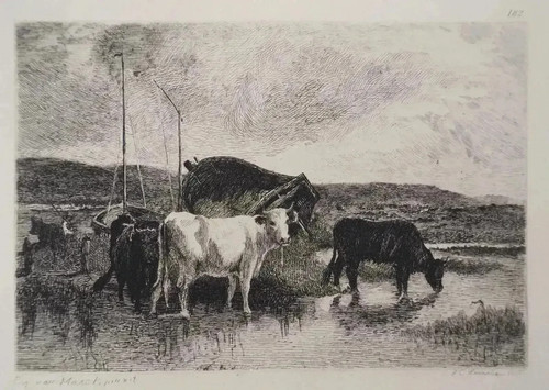 émile van marke mucche al - van-marke:,