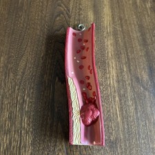 Human Blood Vessel Model