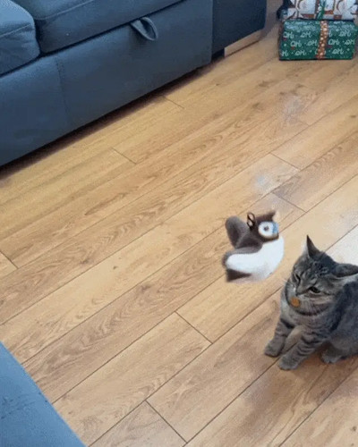 Gioco interattivo per gatti - gioco,