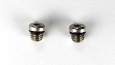 2 X VITI SANGUINANTI TORX PER