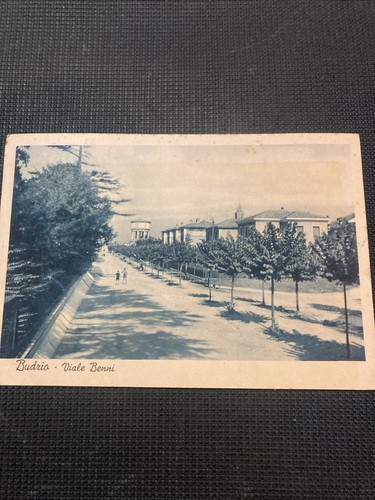 Viale benni budrio - viale,