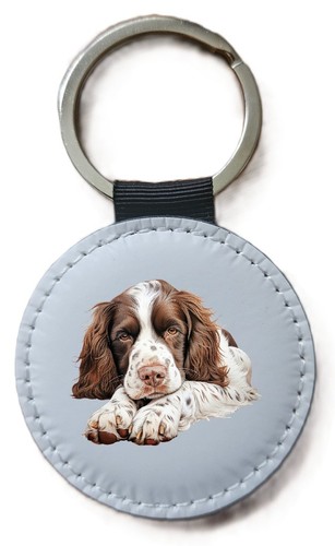 English springer spaniel - english,