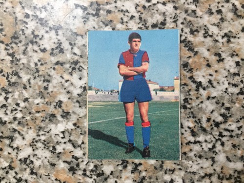 QUINTAVALLE(GENOA)ALBUM