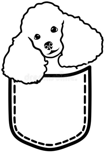 Adesivo auto cane barboncino - cane,