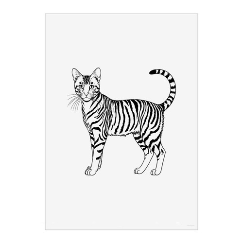 Stampa poster arte parete - arte,