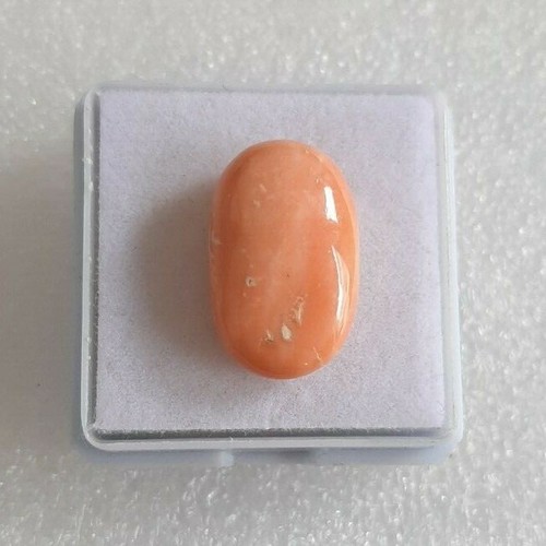 Pezzi 100 naturale - ''pezzi,