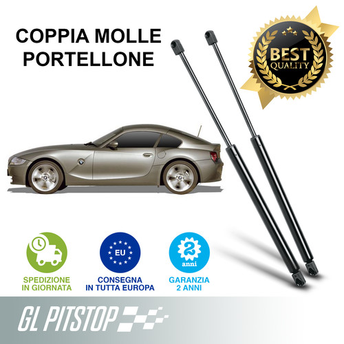 Pistoni portellone coppia - pistoni,