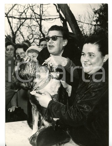 1959 napoli lega del - cane,