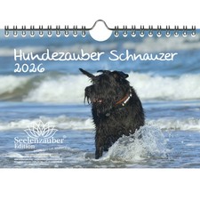 Hundezauber Schnauzer DIN A5 Kalender für 2026 Welpen und Hunde - Seelenzauber