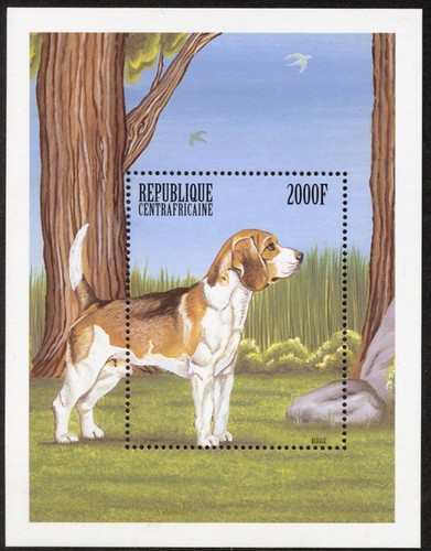 Beagle hound dog postage stamp - dog,