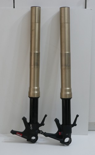 Steli forcella ducati 1199 - steli,
