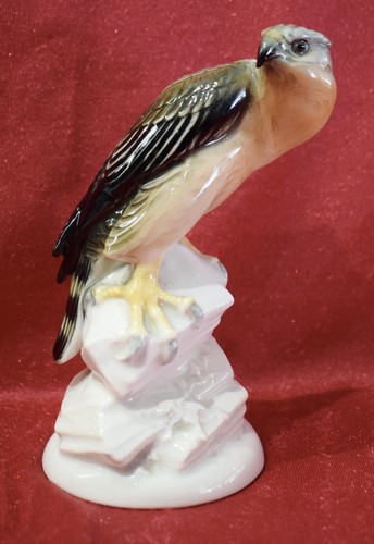 Porcelain falco roccia in - roccia,