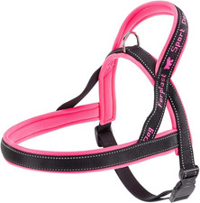 Pettorina Cane SPORT DOG