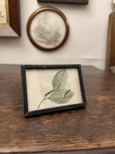 Miniatura acquerello