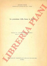TOSCHI Augusto - La protezione