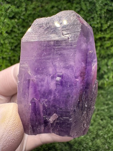 Wow ametista viola - wow!,