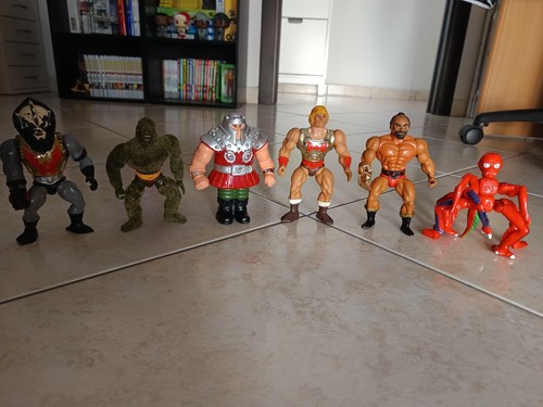 Lotto motu masters the - motu,