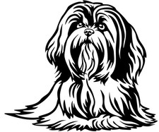 Adesivi auto LHASA APSO -