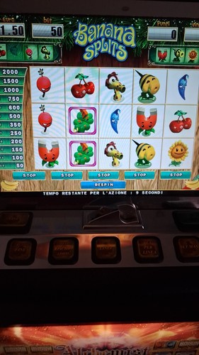 Slot bar uso - uso, privato