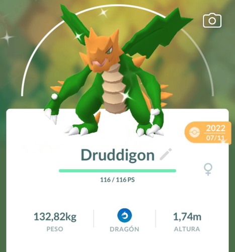 Pokemon shiny druddigon - shiny,